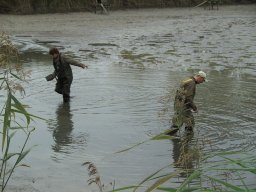 Abfischen 2006